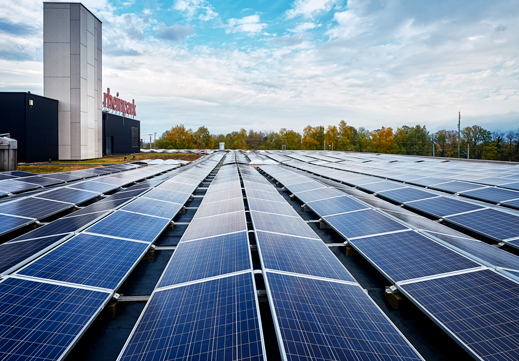 Ein entscheidendes Kriterium für den Einsatz von Plantex® Platinium war die von DuPont gewährte Garantie für das Unkrautvlies.|Foto: DuPont/ Sven-Erik Tornow