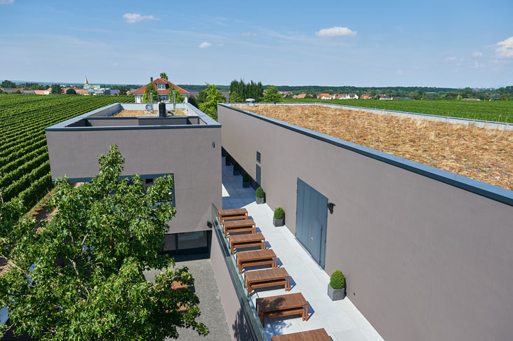 alwEllerstadt201608 395