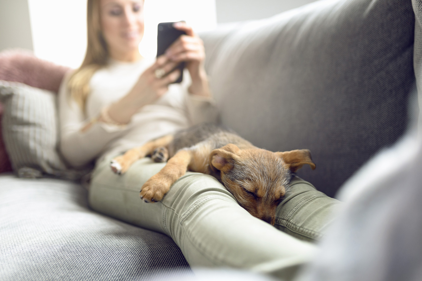 Mit den BLANKE SMART-HOME-Lösungen lassen sich alle Flächenheiz- und -Kühlsysteme aus der BLANKE PERMATOP Familie komfortabel steuern.|Foto: Blanke/Lars Zahner